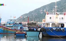 Nhiều tỉnh xin giãn nợ cho chủ tàu vỏ thép
