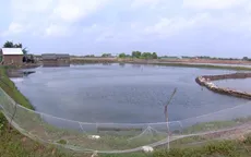 Ổn định cuộc sống người dân ven luồng tàu vào sông Hậu