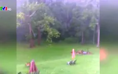 Mưa đá to bằng quả bóng golf