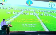 Hội nghị quốc tế về bệnh bạc lá trên lúa