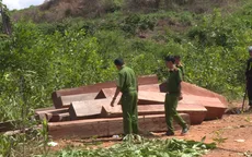Phát hiện một vụ khai thác gỗ trái phép quy mô lớn