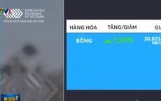 Giá bông kỳ hạn tháng 12/2019 hồi phục 1,35%