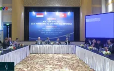 TP.HCM học tập kinh nghiệm chống ngập của Indonesia