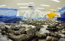 Thuế 0% - Cơ hội “vàng” để tôm Việt Nam vào Mỹ