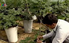 Chi phí - thách thức lớn của chuyển đổi số trong nông nghiệp