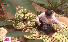 Na Chi Lăng - Quả ngọt từ sự sáng tạo của nông dân