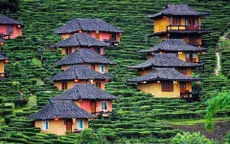 Ghé thăm ngôi làng giữa đồi chè đẹp tuyệt ở Thái Lan