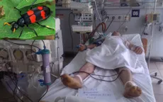 Cảnh báo nguy cơ ngộ độc từ sâu ban miêu