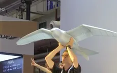 Robot chim bay - Phát minh độc đáo tại Triển lãm Robot thế giới