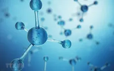 Phương pháp điều trị ung thư mới bằng hạt nano cho kết quả khả quan