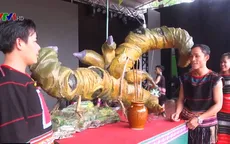 Nhiều hoạt động sôi nổi tại Lễ hội sâm Ngọc Linh