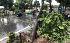 Cập nhật thiệt hại bão số 3: 8 người thiệt mạng, 11 người vẫn mất tích