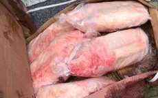 Tiêu hủy hơn 1 tấn thực phẩm đông lạnh nhập lậu tại Lào Cai