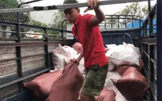 Bình Dương: Phát hiện 20 tấn thịt lợn bẩn giấu trong container