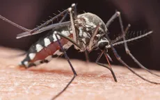 Phát hiện thêm các trường hợp nhiễm virus hiếm tại Mỹ