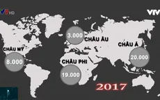 Bạo hành - "Cơn bão ngầm" đằng sau mỗi cánh cửa gia đình