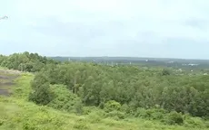 Ghé thăm Khu bảo tồn thiên nhiên - văn hóa Đồng Nai