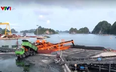 Lượng than nhập khẩu tăng kỷ lục