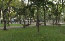 "Xẻ thịt" công viên - chuyên gia nói gì?