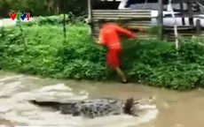 Cá sấu bơi ra đường sau trận lụt ở Ấn Độ