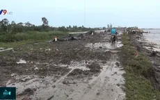 Khẩn cấp cứu hộ đê biển Tây