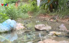 Khu giãn dân Phú Thọ 10 năm không có đường thoát nước thải
