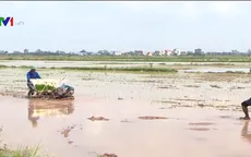 Xây dựng Nông thôn mới – 10 năm nhìn lại