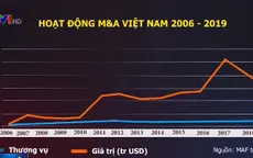 M&A năm 2019 “hạ nhiệt”: Chậm nhưng có chắc?