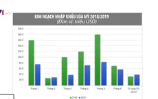 Giá lúa mì giảm xuống mức 4, 4 triệu đồng/tấn