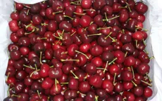 Hàng Mỹ... giá Việt hút người tiêu dùng