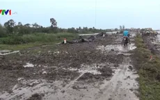 “Đê biển Tây đã được gia cố và đảm bảo an toàn”