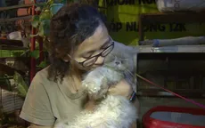 Thú vị cà phê mèo