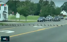 Ấn tượng đàn vịt xếp hàng qua đường