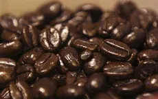 Giá cà phê Arabica và Robusta tăng