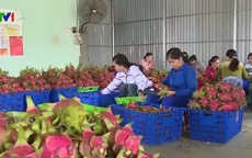 Gỡ khó việc dán tem truy xuất nguồn gốc nông sản vào Trung Quốc