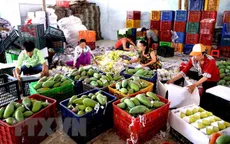 Giá trị xuất khẩu rau quả của Việt Nam 8 tháng qua giảm gần 6%
