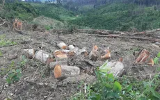 Lâm Đồng phát hiện vụ phá hơn 2ha rừng ở Đạ K’Nàng