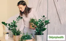 6 mẹo đơn giản bảo vệ bạn khỏi dị ứng do khói bụi