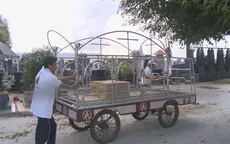 Đừng bỏ con mẹ ơi!