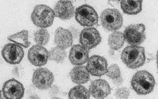 Trung Quốc chỉnh sửa gen chữa HIV, ung thư máu