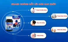 Khớp Phong giúp “đánh bại” các bệnh xương khớp hiệu quả cao gấp nhiều lần nhờ kết hợp đông dược và tân dược