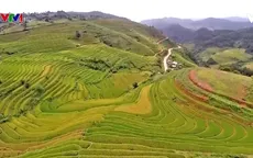 Đặc sắc văn hóa Mường Lò