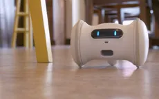 Robot Varram Pet Fitness chơi đùa với thú cưng
