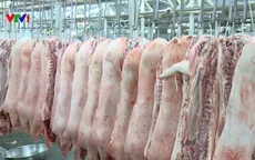 Đồng Nai cảnh báo khan hiếm nguồn cung thịt lợn dịp Tết Nguyên đán