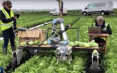 Robot thay thế lao động nông nghiệp tại Mỹ
