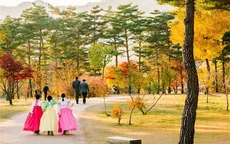Những con đường ngập tràn cảnh sắc mùa Thu ở Seoul