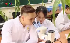 Tìm hiểu công việc hàng ngày của các bác sĩ tại Bệnh viện Cây trồng