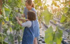 Kích thích sáng tạo và tình yêu thiên nhiên của trẻ em trong không gian xanh