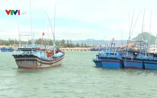 Hoàn thiện quy định về mua, bán và hoán cải tàu thuyền