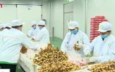 Vừa xuất khẩu, nhãn Việt đã bị Australia "tuýt còi"